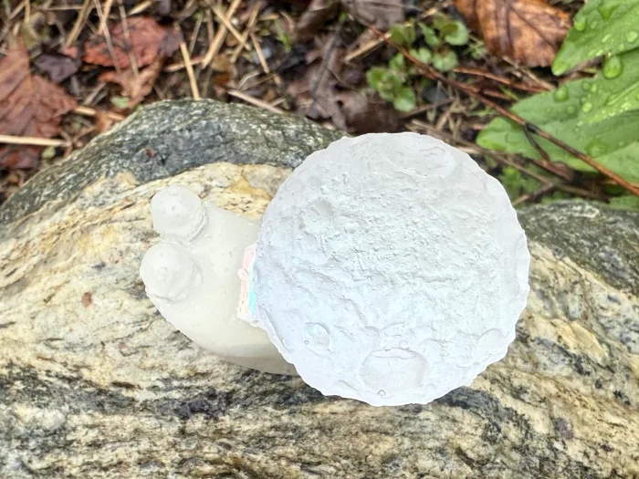 Celestial Moon Snail Figurine | Holographic Resin Desk Companion | Cottagecore Decor