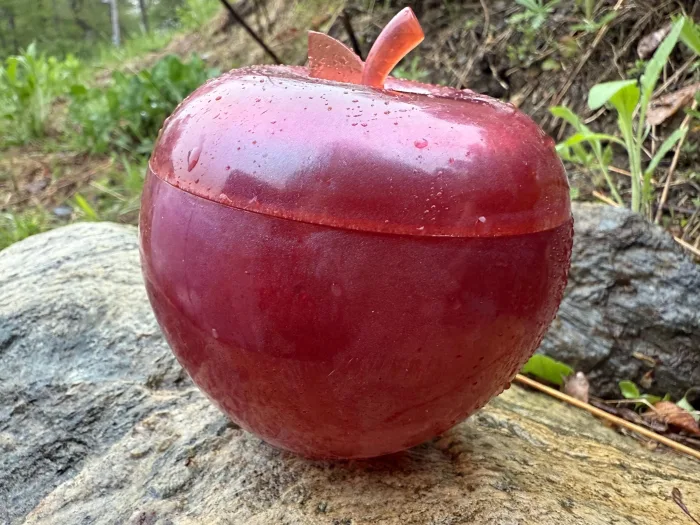 Enchanted Apple Resin Box – Handmade Keepsake & Trinket Storage