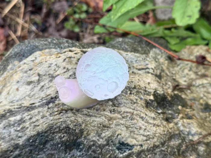 Celestial Moon Snail Figurine | Holographic Resin Desk Companion | Cottagecore Decor