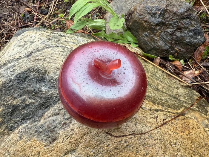Enchanted Apple Resin Box – Handmade Keepsake & Trinket Storage