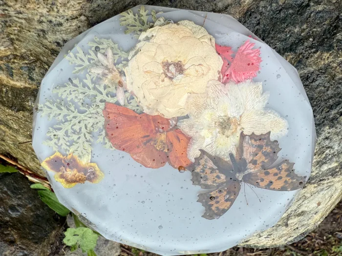 Real Butterfly Pressed Flower Resin Coaster | Botanical Nature Art Decor
